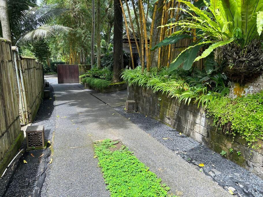 Boho Bellissimo Villa Ubud Dış mekan fotoğraf